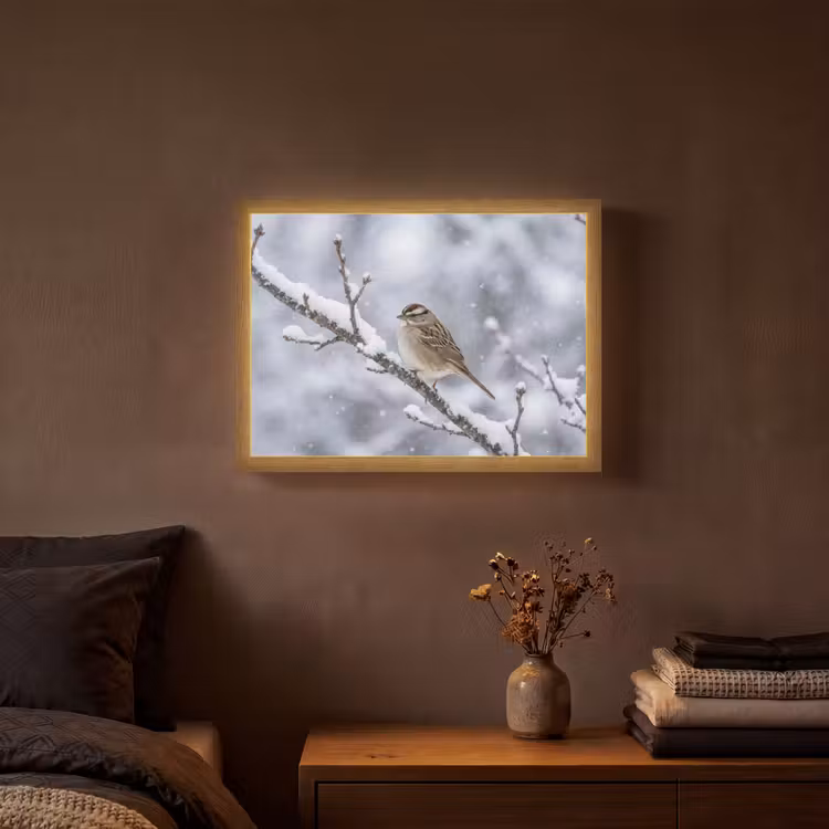 Lightbox - Wandlamp - Vogel - Tak - Sneeuw - Winter — 3