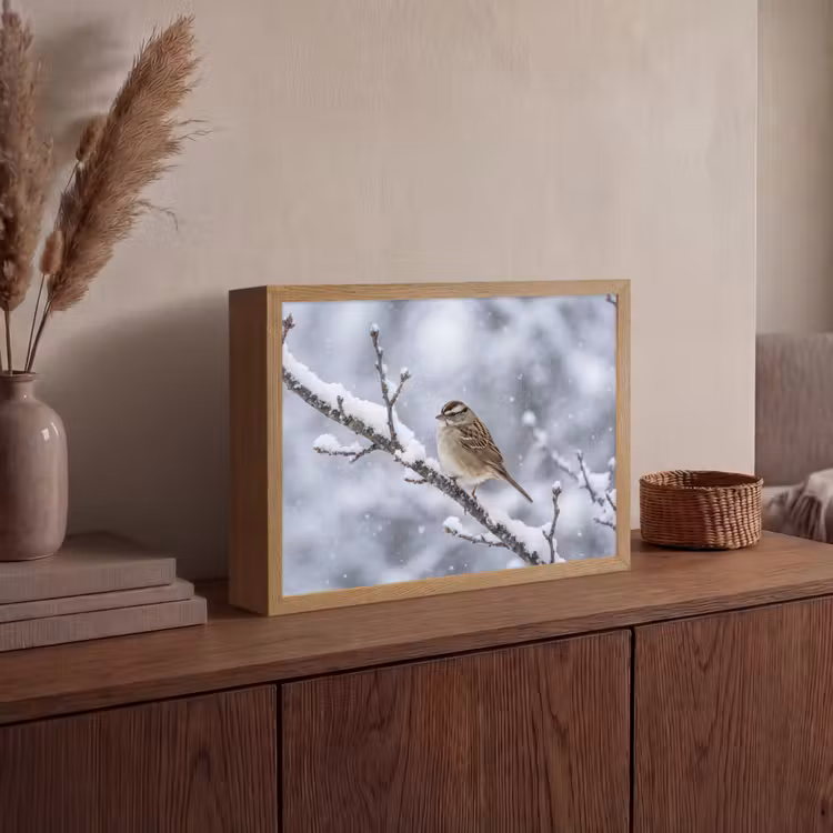 Lightbox - Wandlamp - Vogel - Tak - Sneeuw - Winter — 4