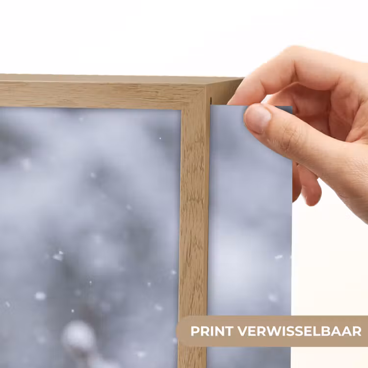 Lightbox - Wandlamp - Vogel - Tak - Sneeuw - Winter — 5