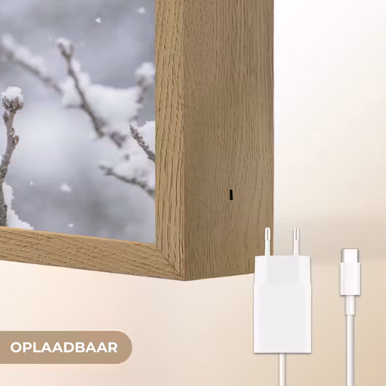 Lightbox - Wandlamp - Vogel - Tak - Sneeuw - Winter — 7