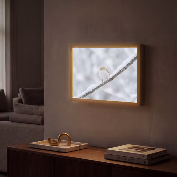 Lightbox - Wandlamp - Vogeltje - Sneeuw - Tak - Winter - Zacht — 2