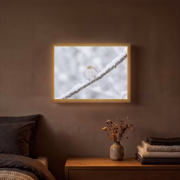 Lightbox - Wandlamp - Vogeltje - Sneeuw - Tak - Winter - Zacht — 3