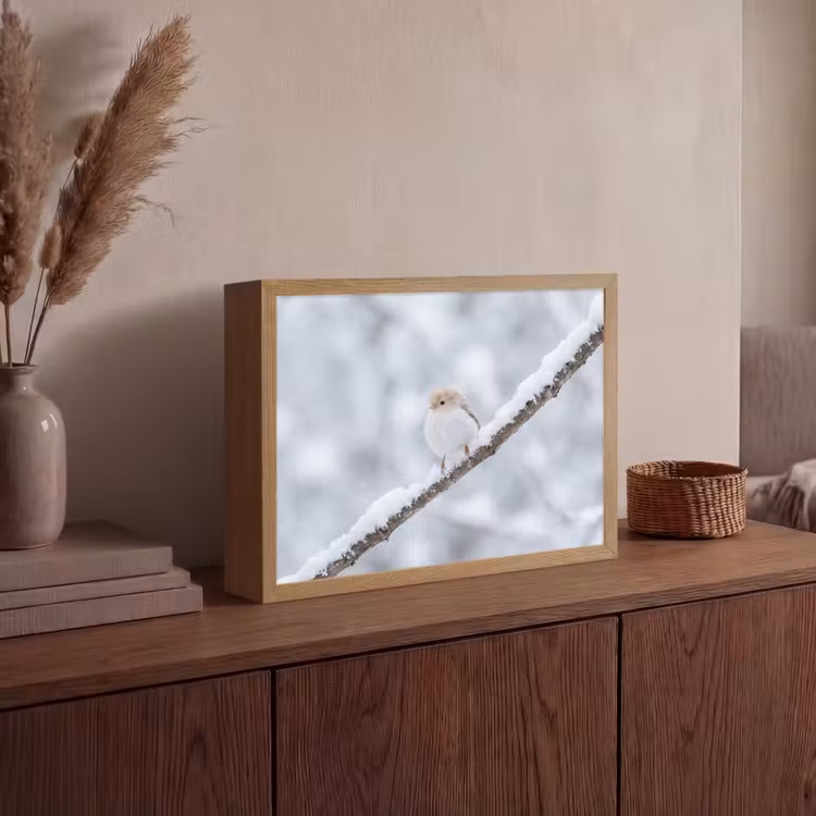 Lightbox - Wandlamp - Vogeltje - Sneeuw - Tak - Winter - Zacht — 4