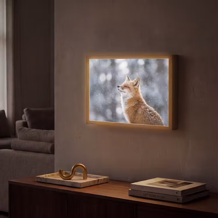 Lightbox - Wandlamp - Vos - Sneeuwval - Portret - Winter - Sfeervol — 2