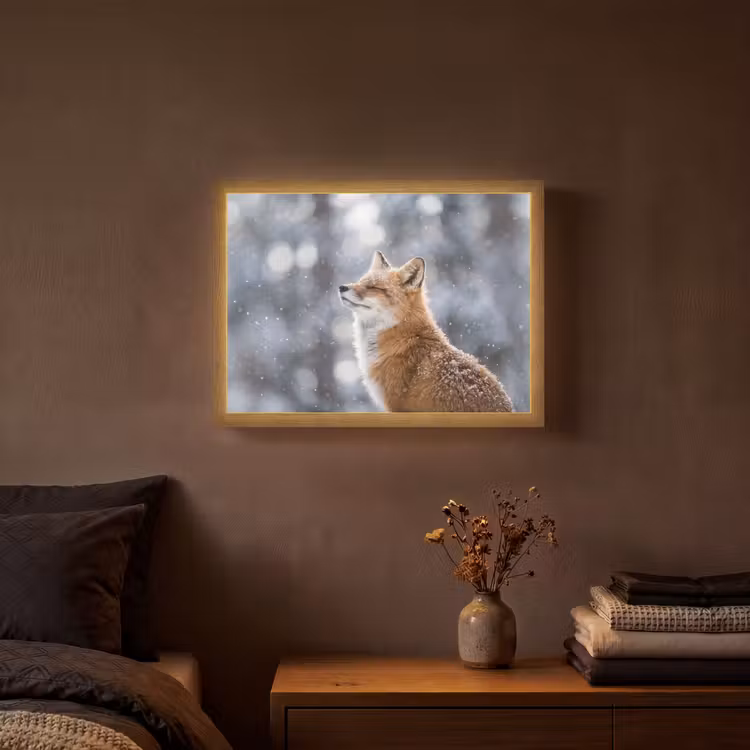 Lightbox - Wandlamp - Vos - Sneeuwval - Portret - Winter - Sfeervol — 3