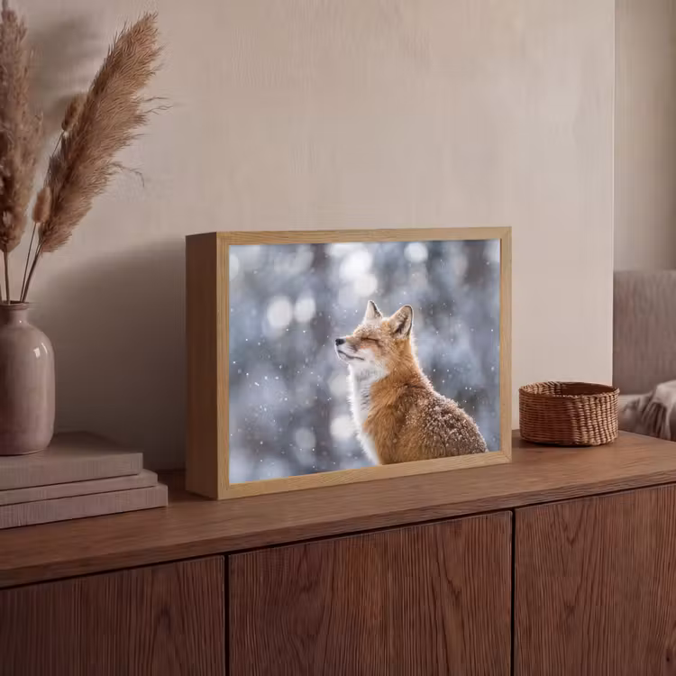 Lightbox - Wandlamp - Vos - Sneeuwval - Portret - Winter - Sfeervol — 4