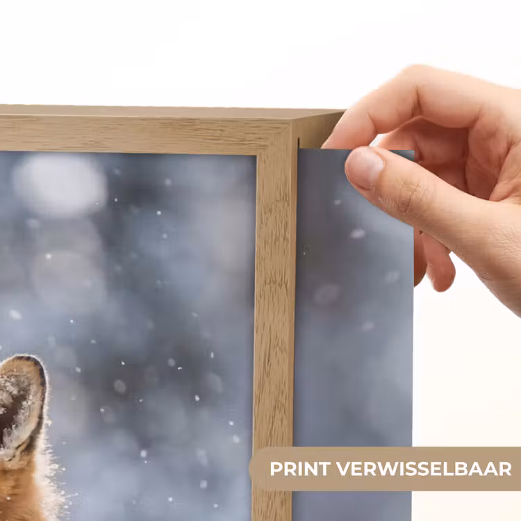 Lightbox - Wandlamp - Vos - Sneeuwval - Portret - Winter - Sfeervol — 5