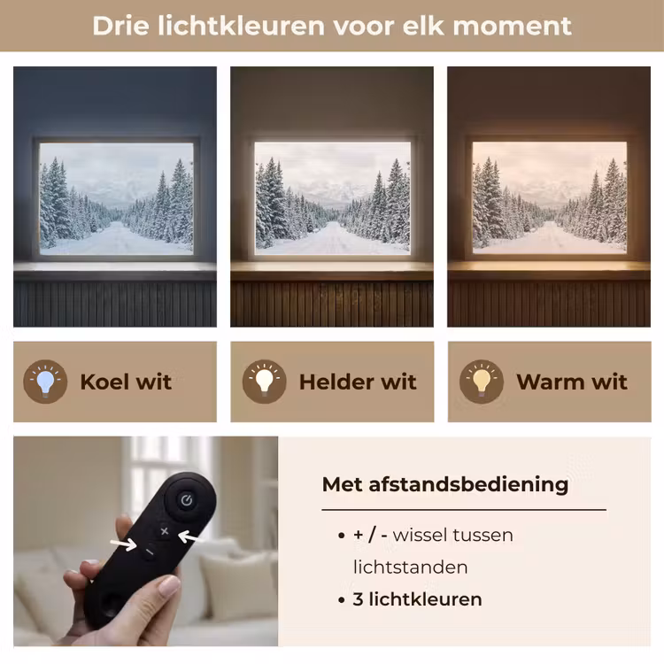 Lightbox - Wandlamp - Weg - Sneeuw - Naaldbos - Winter - Avontuurlijk — 8
