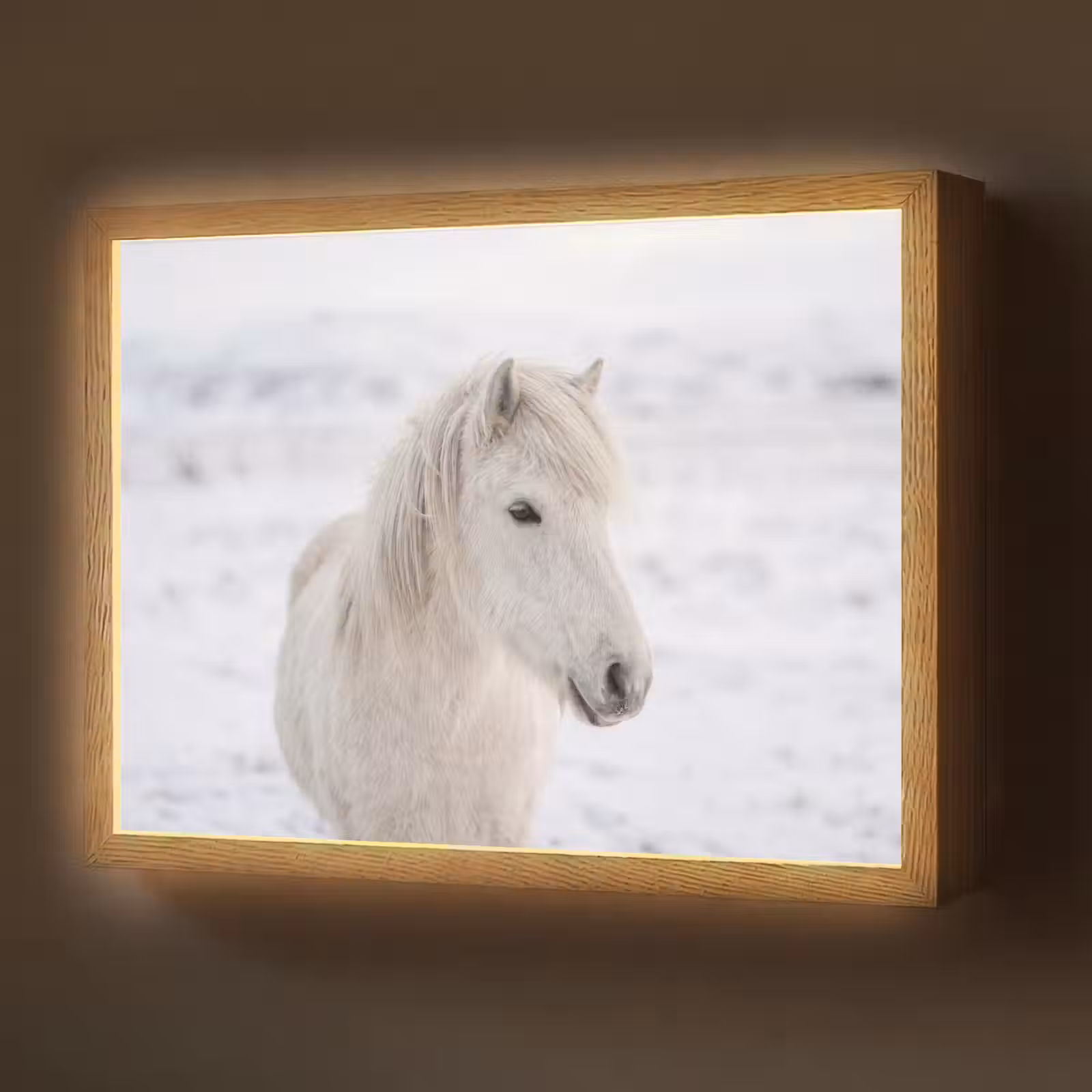 Lightbox - Wandlamp - Paard - Kop - Winter - Dieren - Wit — 1