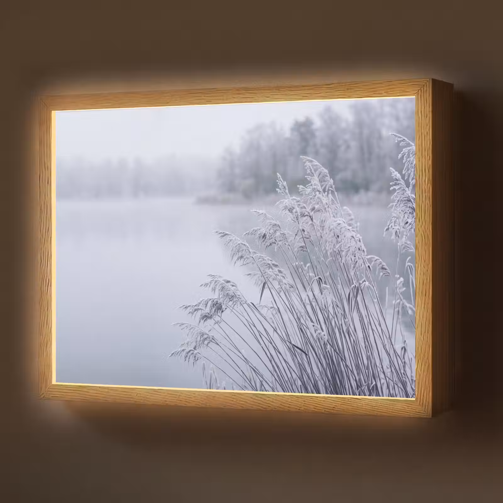 Lightbox - Wandlamp - Riet - Bevroren - Winter - Natuur — 1
