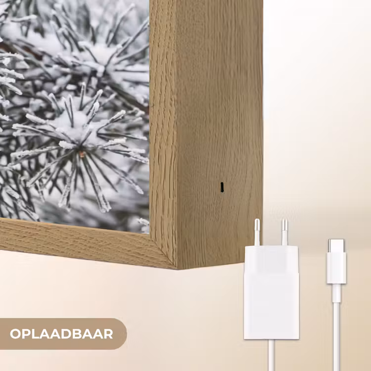 Lightbox - Wandlamp - Dennenappel - Tak - Sneeuw - Winter - Sfeervol — 7