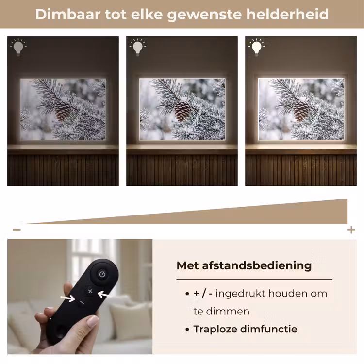 Lightbox - Wandlamp - Dennenappel - Tak - Sneeuw - Winter - Sfeervol — 9