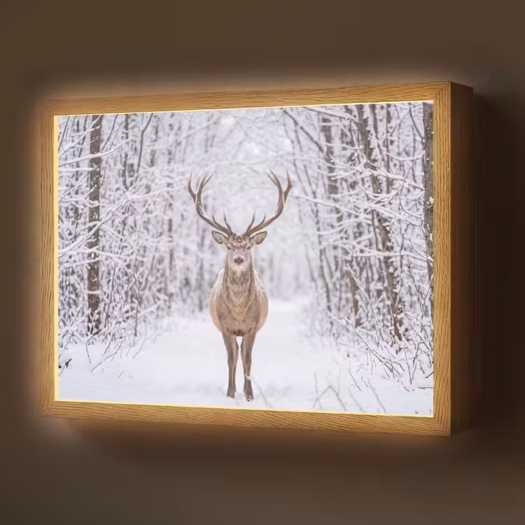 Lightbox - Wandlamp - Hert - Winter - Bos - Natuur - Wit — 1