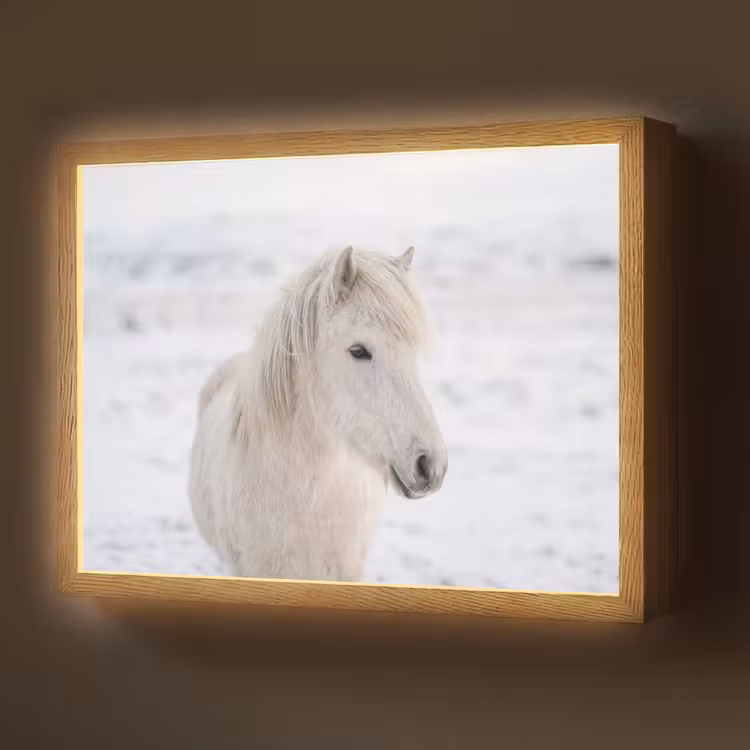 Lightbox - Wandlamp - Paard - Kop - Winter - Dieren - Wit — 1