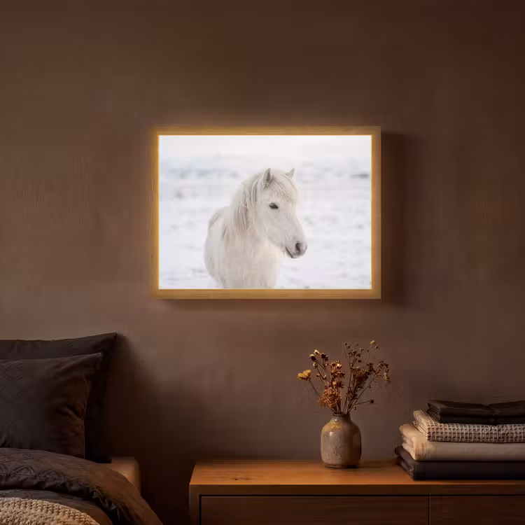 Lightbox - Wandlamp - Paard - Kop - Winter - Dieren - Wit — 3