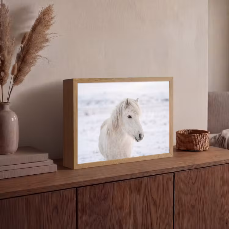 Lightbox - Wandlamp - Paard - Kop - Winter - Dieren - Wit — 4