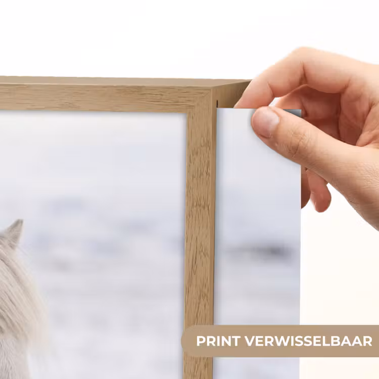 Lightbox - Wandlamp - Paard - Kop - Winter - Dieren - Wit — 5