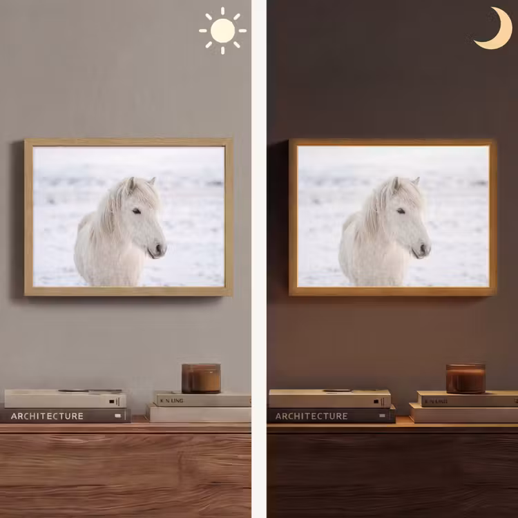 Lightbox - Wandlamp - Paard - Kop - Winter - Dieren - Wit — 6