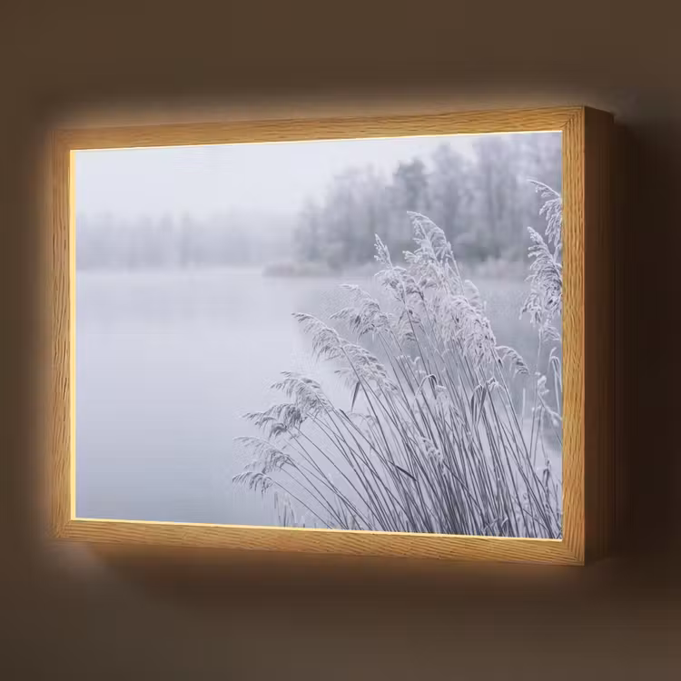 Lightbox - Wandlamp - Riet - Bevroren - Winter - Natuur — 1