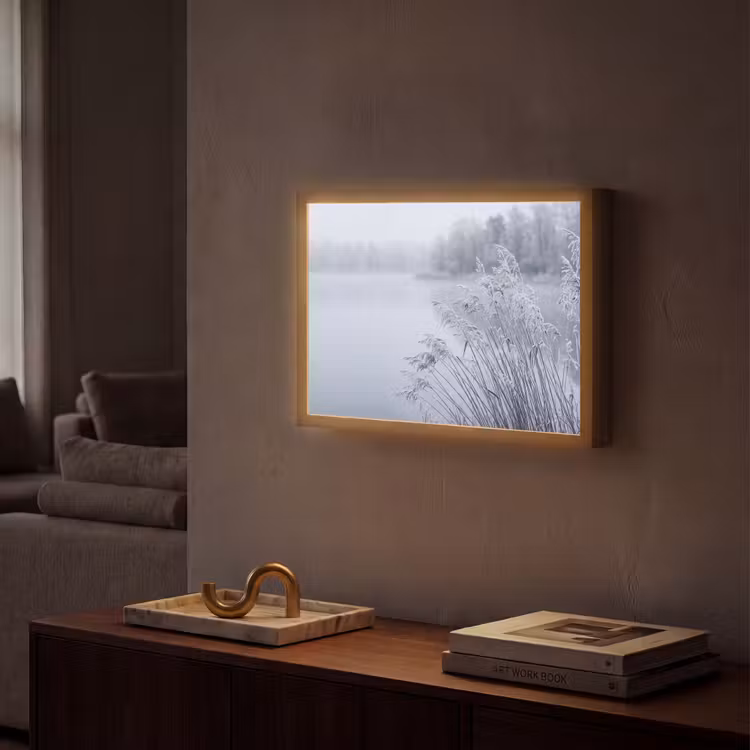 Lightbox - Wandlamp - Riet - Bevroren - Winter - Natuur — 2