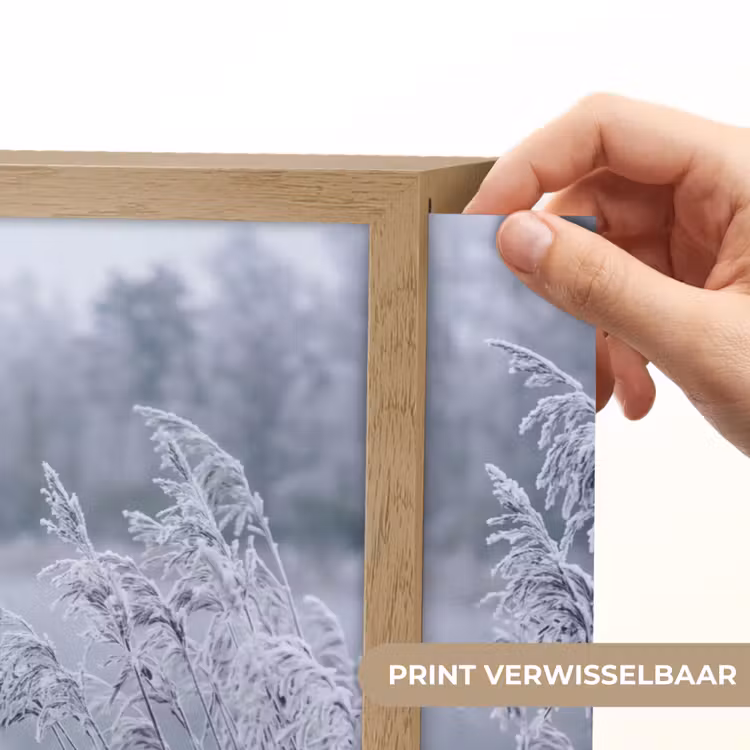 Lightbox - Wandlamp - Riet - Bevroren - Winter - Natuur — 5