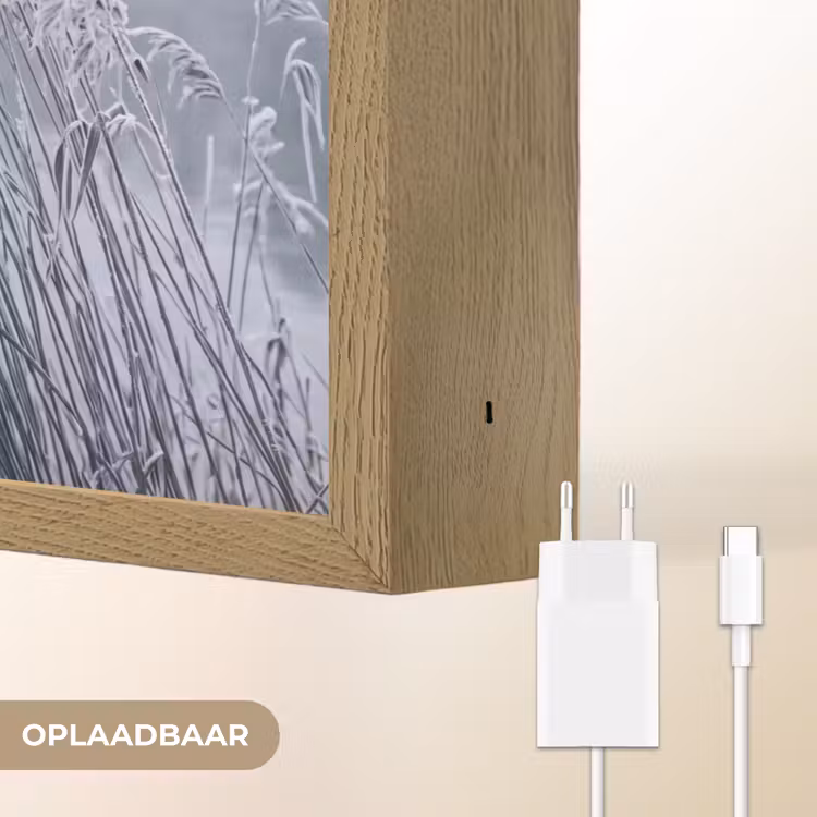 Lightbox - Wandlamp - Riet - Bevroren - Winter - Natuur — 7