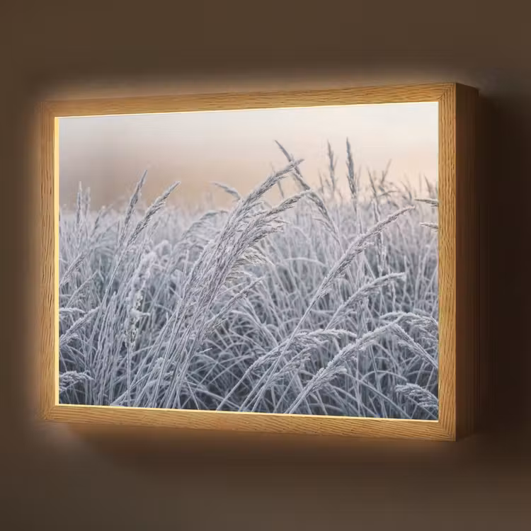 Lightbox - Wandlamp - Rijp - Gras - Kristallen - Winter - Minimalistisch — 1