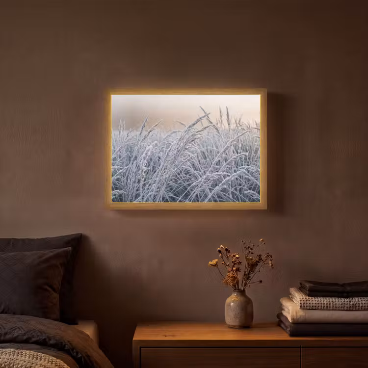 Lightbox - Wandlamp - Rijp - Gras - Kristallen - Winter - Minimalistisch — 3