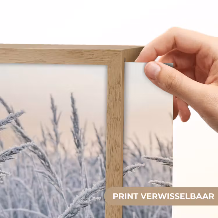 Lightbox - Wandlamp - Rijp - Gras - Kristallen - Winter - Minimalistisch — 5