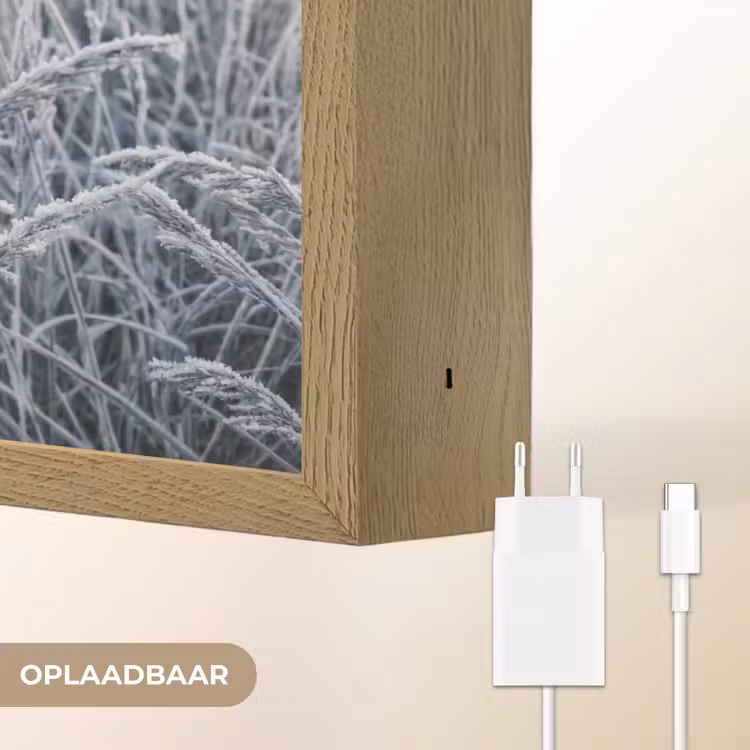 Lightbox - Wandlamp - Rijp - Gras - Kristallen - Winter - Minimalistisch — 7
