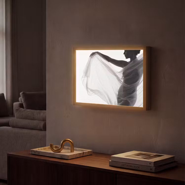 Lightbox - Wandlamp - Silhouet - Sluier - Vormen - Zwart - Wit - Sensueel — 2