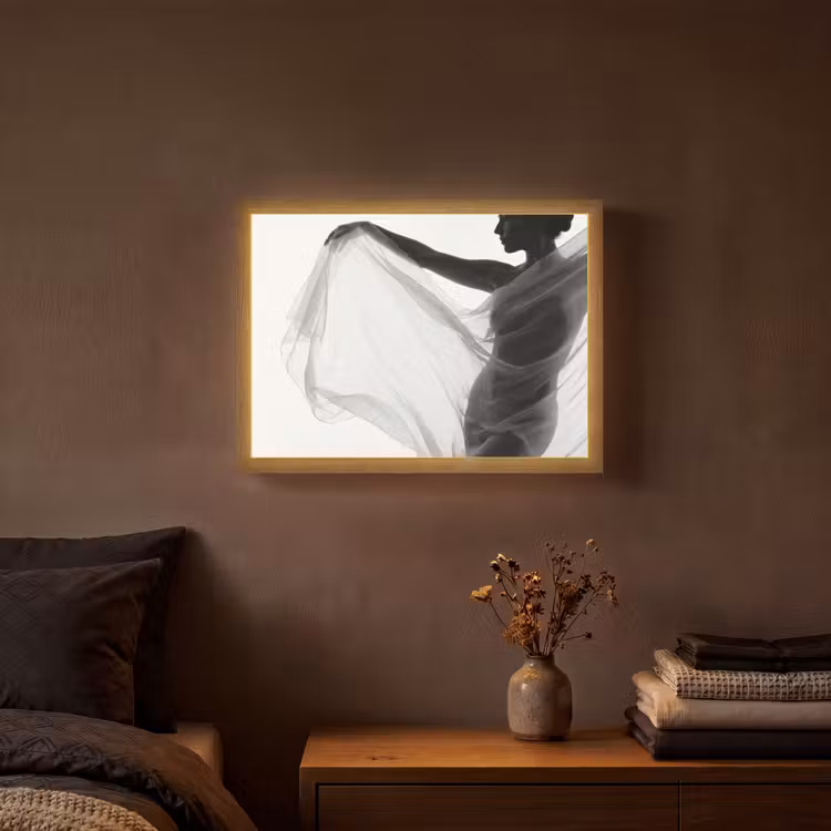 Lightbox - Wandlamp - Silhouet - Sluier - Vormen - Zwart - Wit - Sensueel — 3