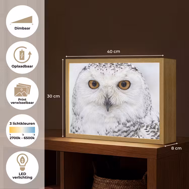 Lightbox - Wandlamp - Sneeuwuil - Oog - Wildlife - Wit — 10