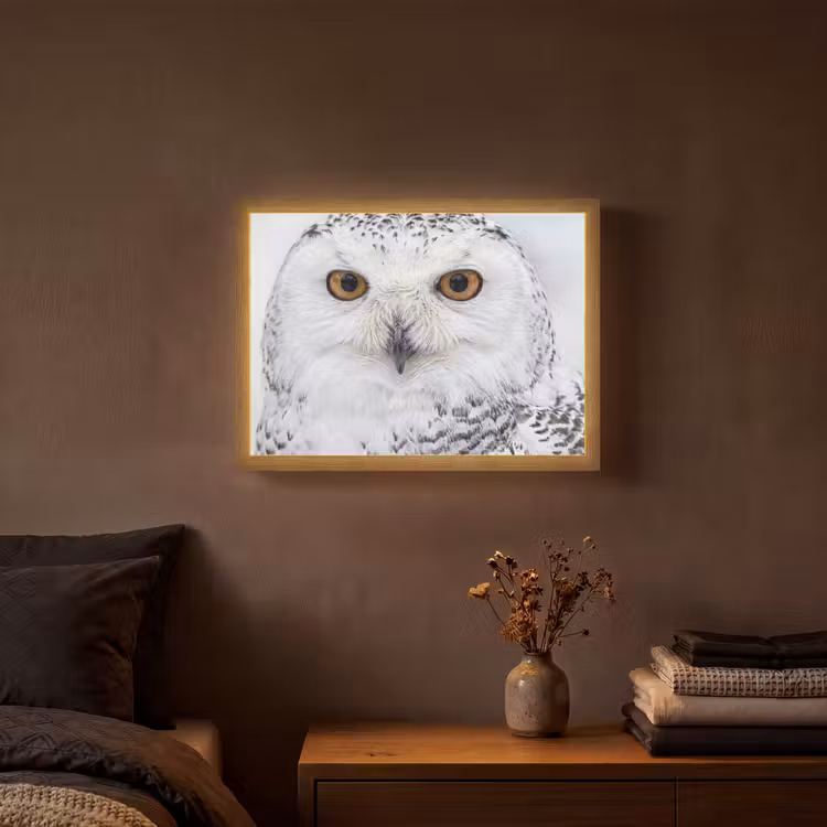 Lightbox - Wandlamp - Sneeuwuil - Oog - Wildlife - Wit — 3