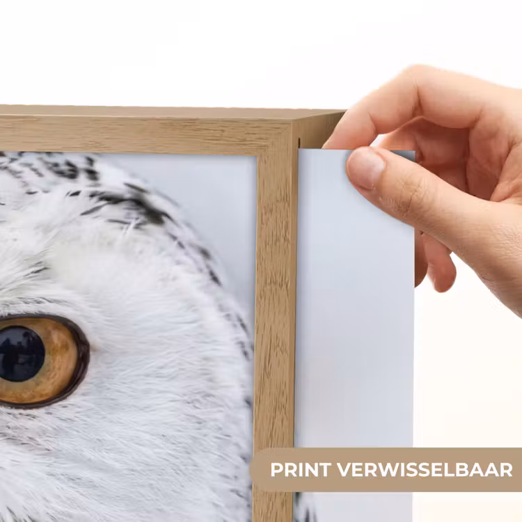Lightbox - Wandlamp - Sneeuwuil - Oog - Wildlife - Wit — 5