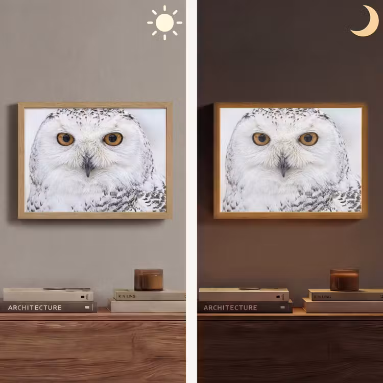 Lightbox - Wandlamp - Sneeuwuil - Oog - Wildlife - Wit — 6