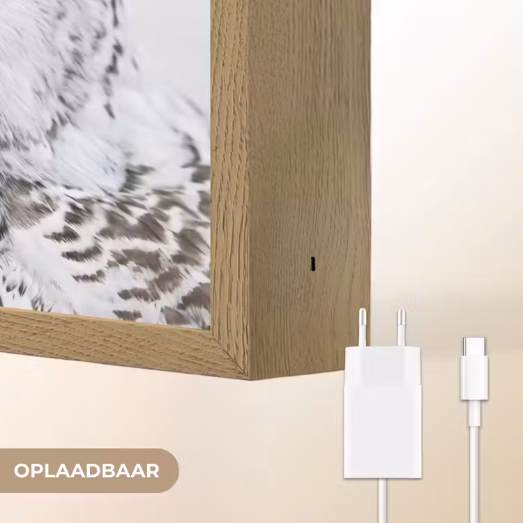 Lightbox - Wandlamp - Sneeuwuil - Oog - Wildlife - Wit — 7