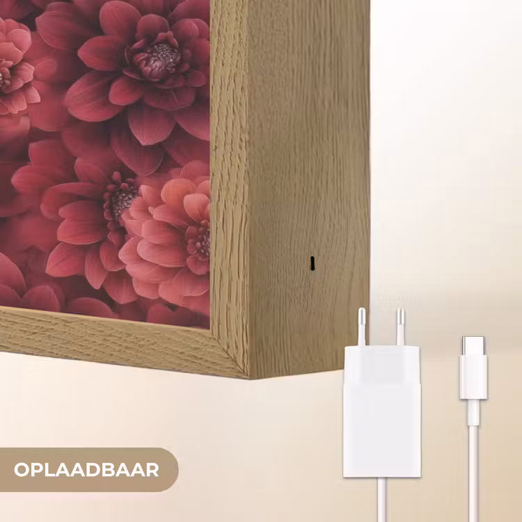 Lightbox - Wandlamp - Dahlias - Bloemen - Rood — 7