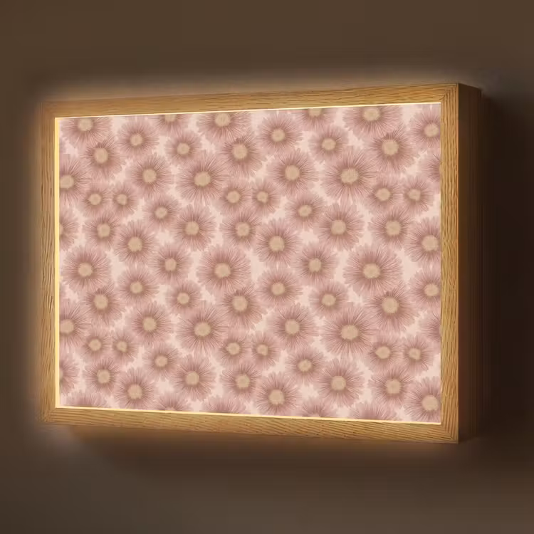 Lightbox - Wandlamp - Gerbera - Bloemen - Roze — 1