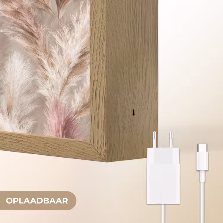 Lightbox - Wandlamp - Pampasgras - Pluizig - Kleurrijk — 7