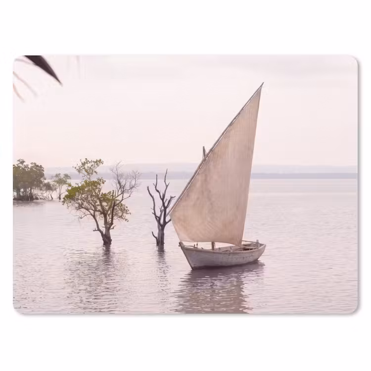 Muismat - Boot - Zeil - Water - Tropisch - Natuur — 1