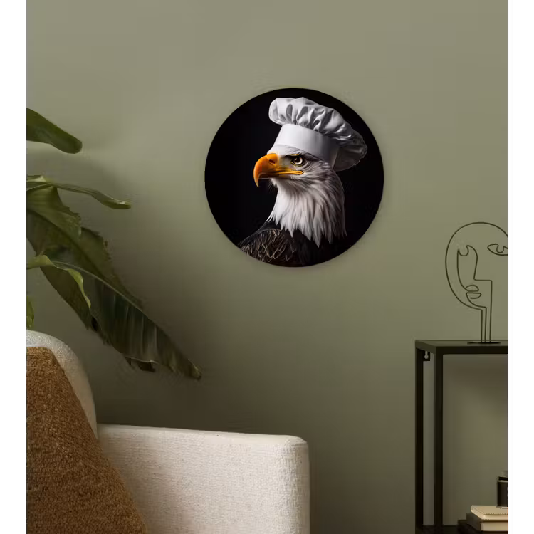 Muurcirkel - Arend -Amerika - Koksmuts - Vogel - Stoer — 3