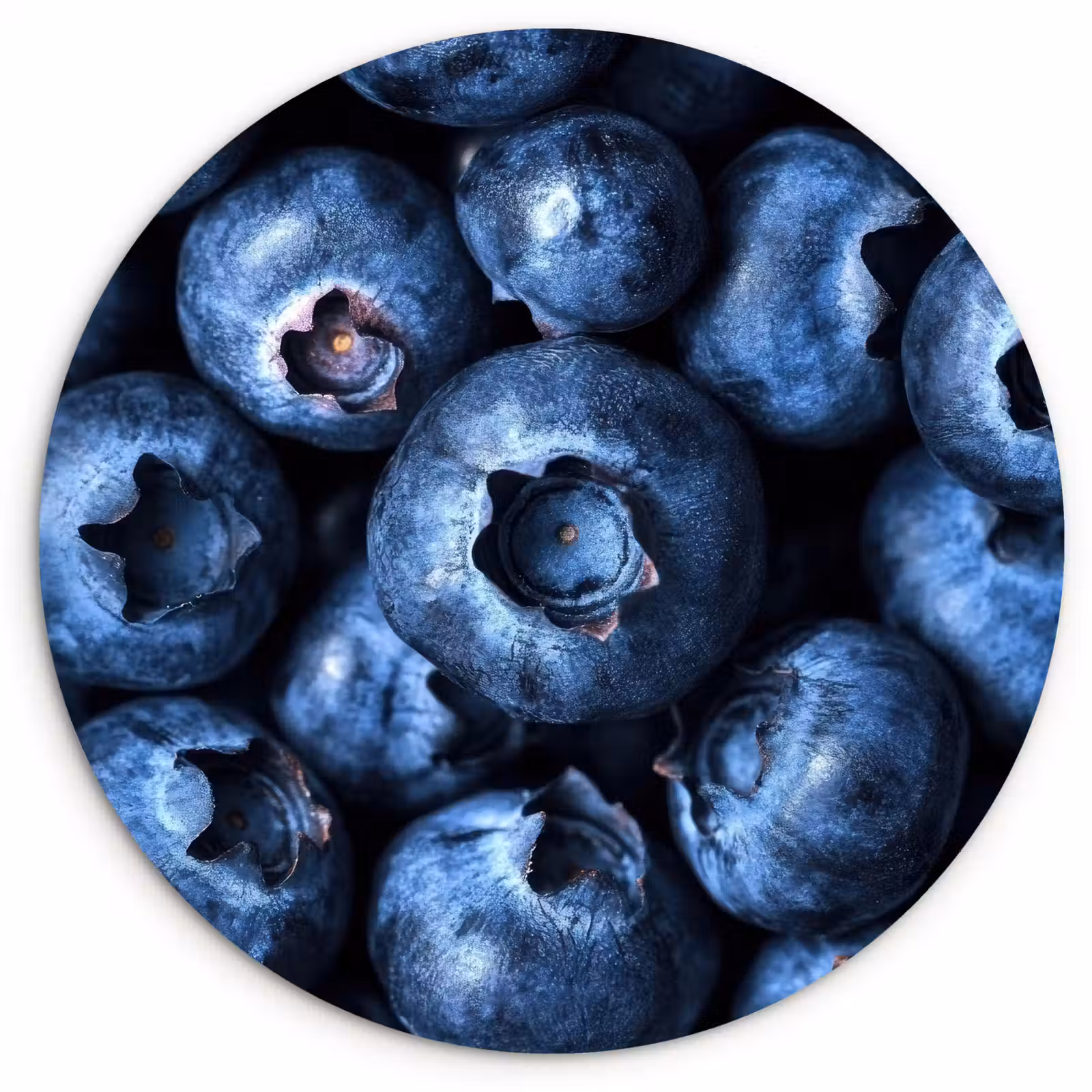 Muurcirkel - Bessen - Blauw - Fruit — 1