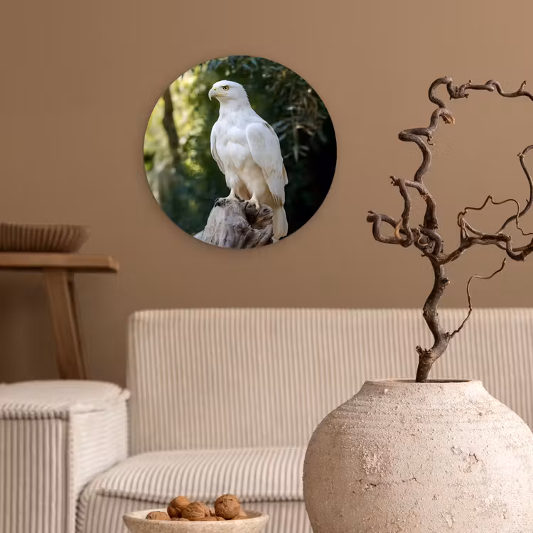 Muurcirkel - Arend - Hout - Wit - Planten — 2