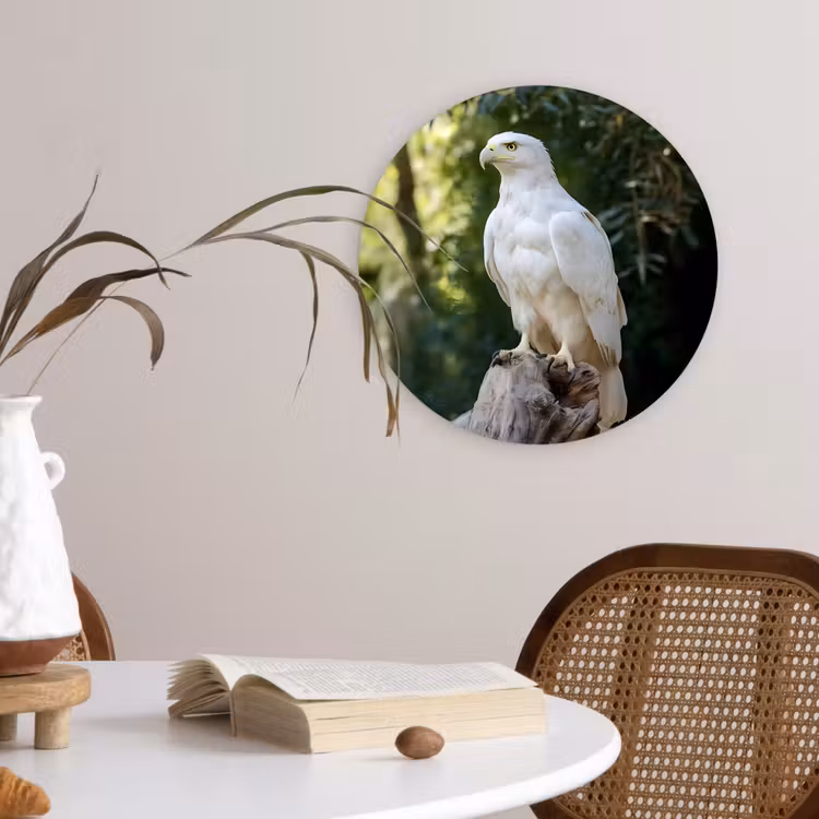 Muurcirkel - Arend - Hout - Wit - Planten — 4