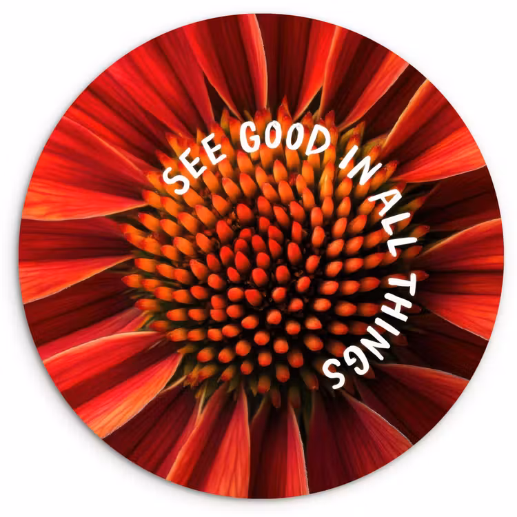 Muurcirkel - Close up - Bloem - Quote - Rood — 1