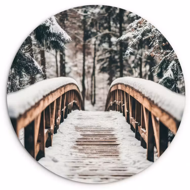 Muurcirkel - Brug - Winterlandschap - Bos - Natuur - Sneeuw — 1