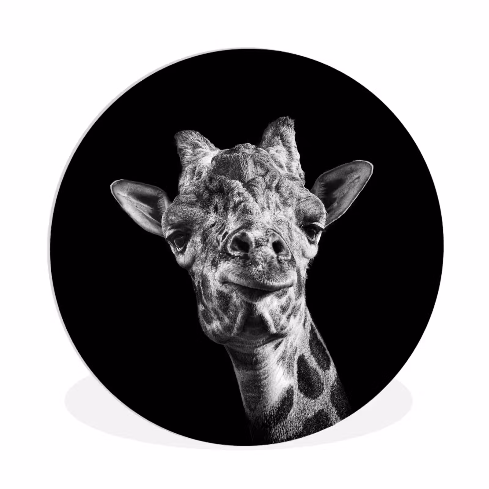 Muurcirkel - Giraffe - Dier - Zwart - Wit — 1