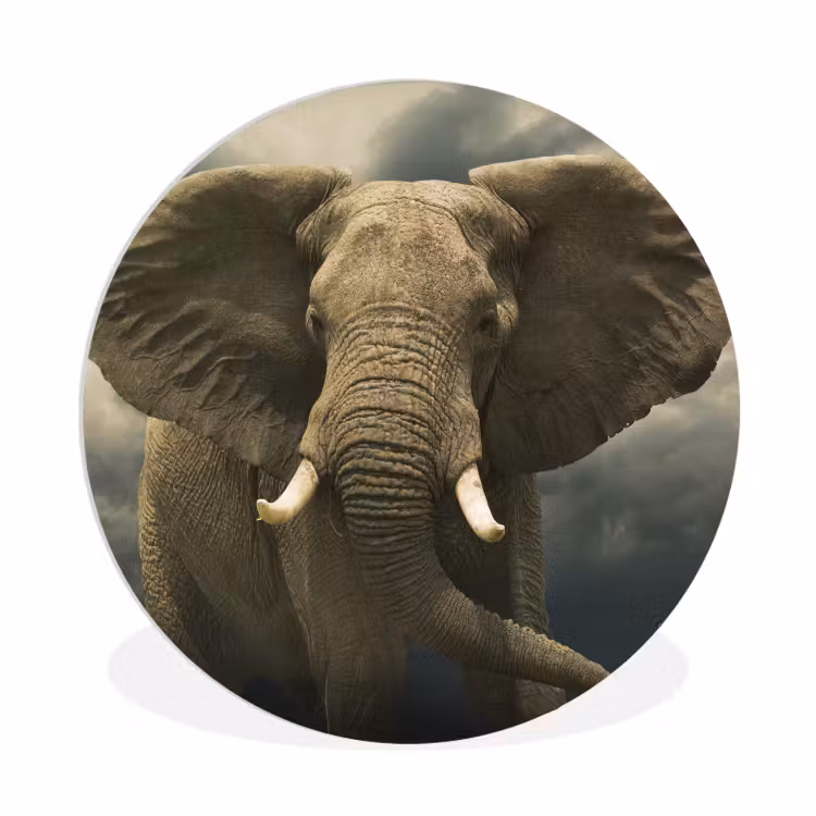 Muurcirkel - Afrikaanse olifant tegen de donkere wolken — 1