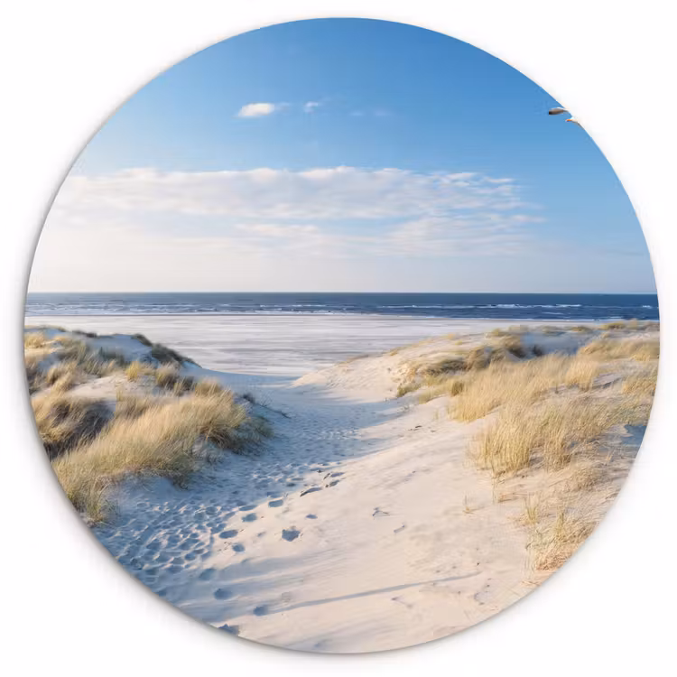 Muurcirkel - Duin - Meeuw - Strand - Zee - Zon — 1